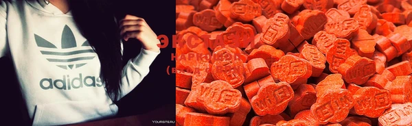 spice Богданович