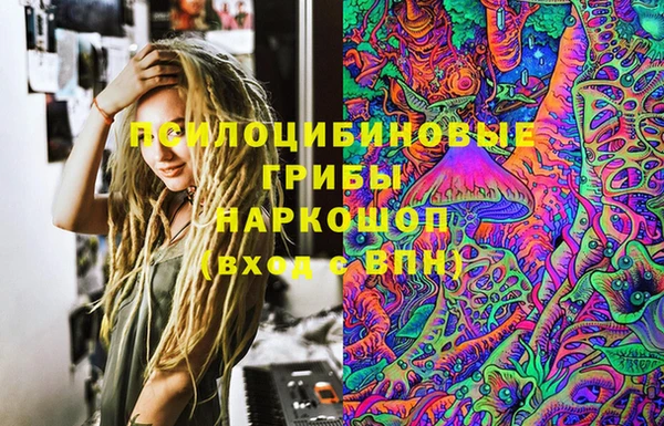 гашик Богородицк