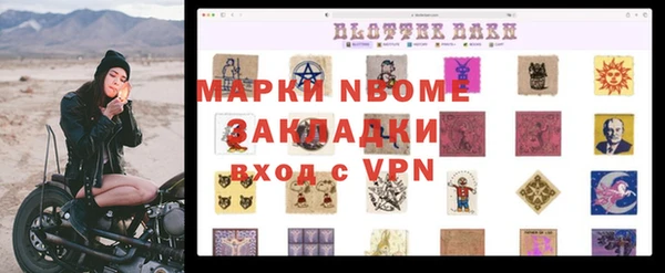 spice Богданович