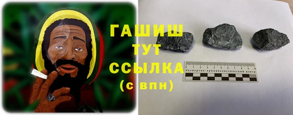 spice Богданович