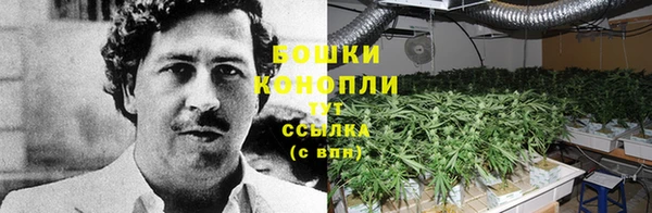 гашик Богородицк