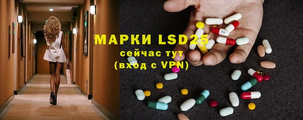 spice Богданович