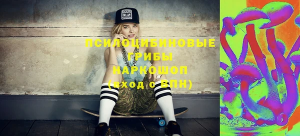 гашик Богородицк