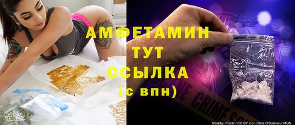 spice Богданович