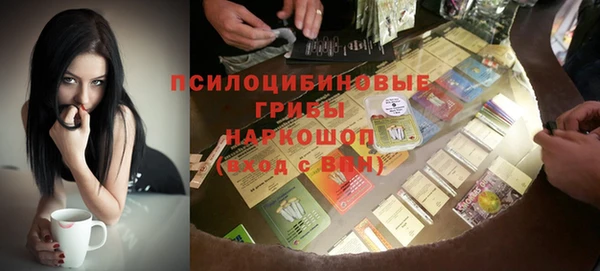 spice Богданович