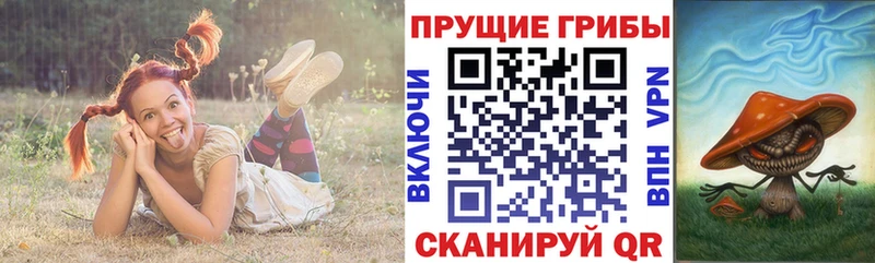Псилоцибиновые грибы Psilocybe  Сыктывкар 